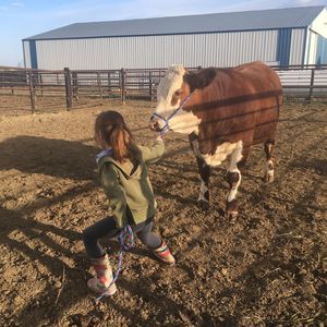 Meet your Posher, Carolyn